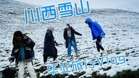 吃瓜小妹vlog,揭秘娱乐圈幕后故事