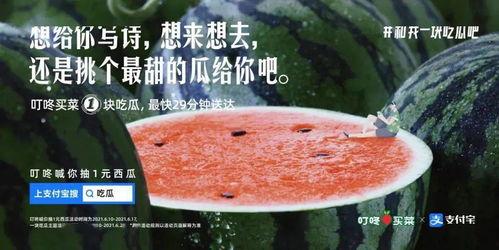 车上吃瓜文案,揭秘娱乐圈那些不为人知的幕后故事