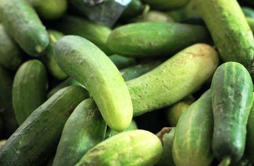 每天坚持吃瓜的好处