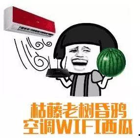 吃瓜群众夏日歌