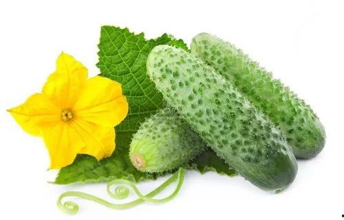 唐雪青吃瓜系统