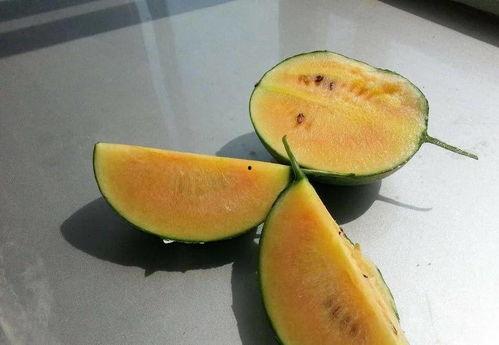 彩虹吃瓜介绍,揭秘网络红人的美食之旅