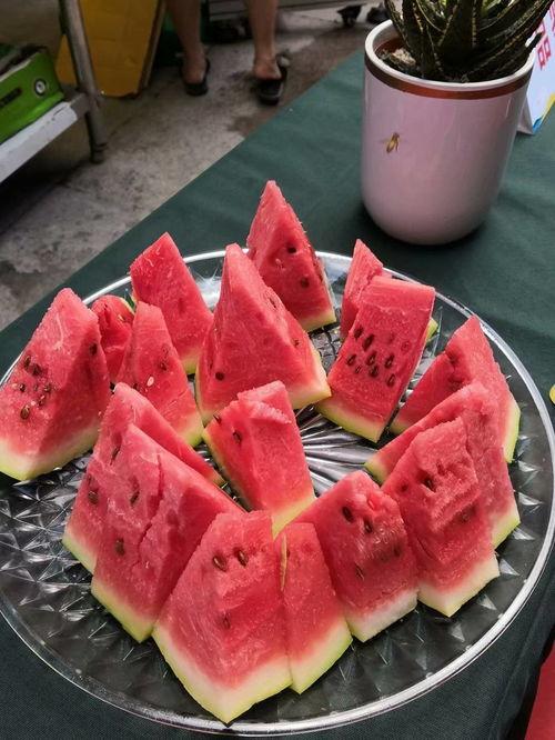 老王家吃瓜大赛视频,一场欢乐的味蕾盛宴