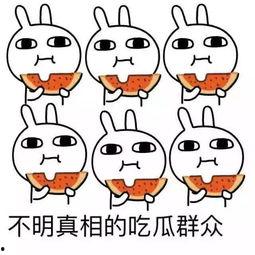 现在吃瓜有多难,揭秘信息封锁下的“吃瓜”困境