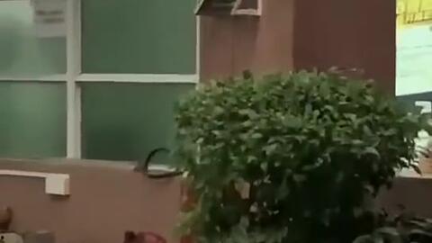 专业吃瓜户01,网络红人的瓜田奇遇记