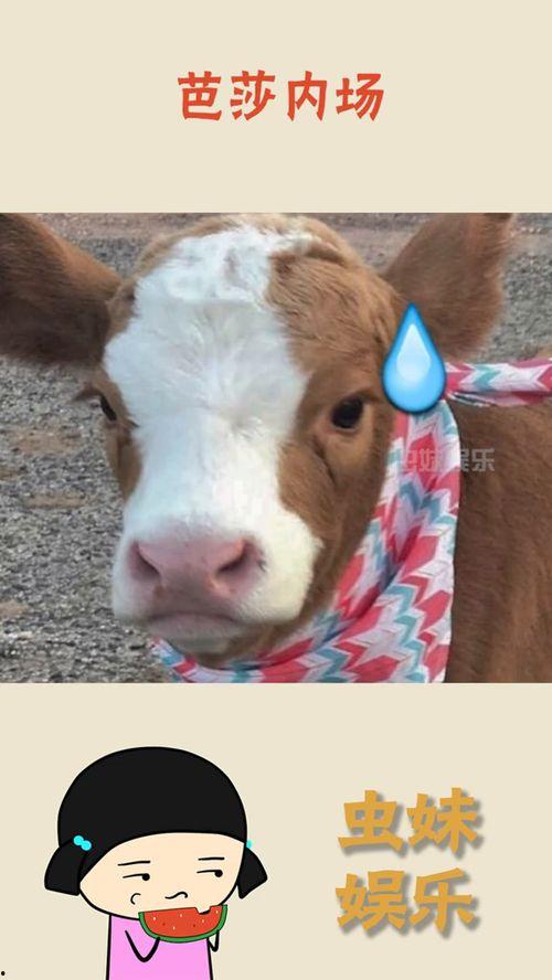 抖音水下吃瓜,抖音上那些令人捧腹的“吃瓜”瞬间