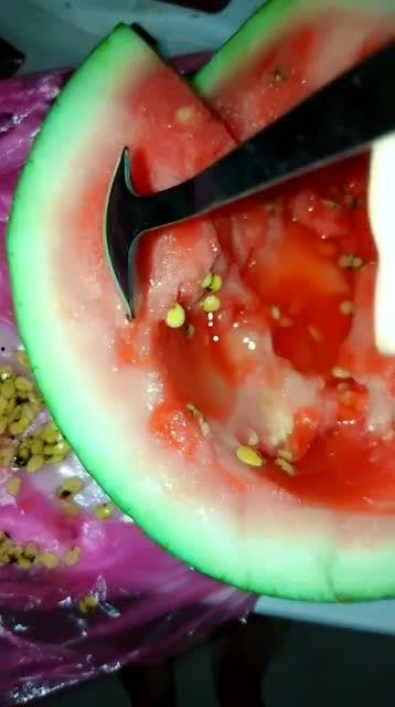 吃瓜不吐草莓籽,揭秘“吃瓜不吐”的神奇体验