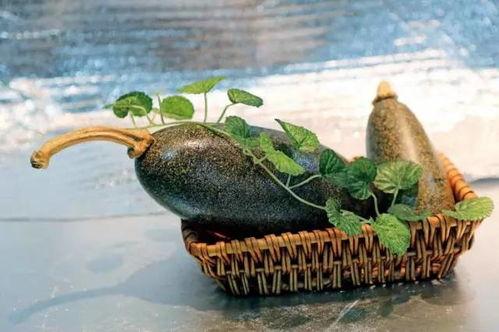 老松瓜怎么吃,探索传统美食新境界