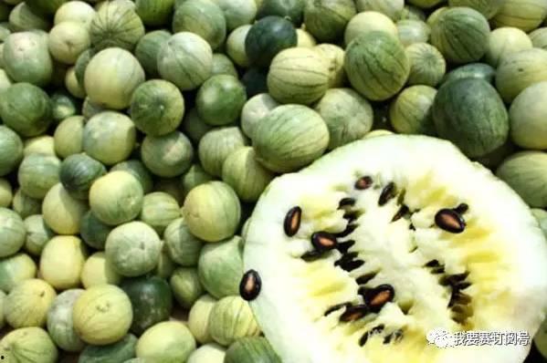 有籽瓜怎么吃,解锁美味新体验