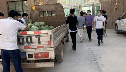 学校吃瓜事件,揭秘学校吃瓜事件的背后真相