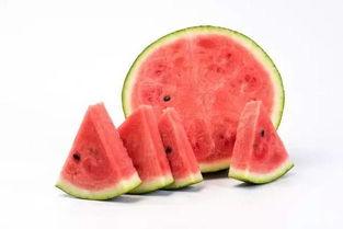 西瓜地免费吃瓜,西瓜地免费吃瓜，畅享清凉一夏！