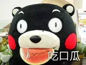 吃瓜看剧鸭,揭秘娱乐圈幕后故事