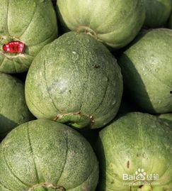 角瓜甜瓜怎么吃,解锁美味新体验