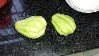 兔儿瓜可以吃不