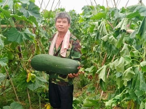 劲爆吃瓜内容,揭秘娱乐圈最新热点事件！