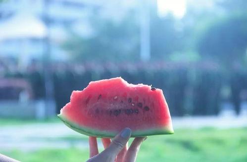 安静吃瓜图片大全,盘点那些安静吃瓜的温馨瞬间