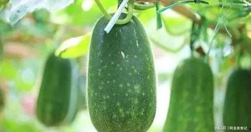 8月吃一瓜,一瓜带来的清凉时光