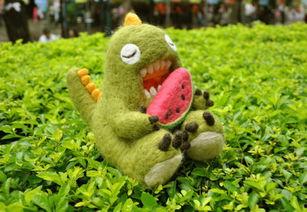 像怪兽的瓜怎么吃,揭秘像怪兽的瓜的独特食用方法