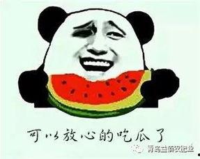 吃瓜的伤害,揭秘吃瓜带来的潜在伤害