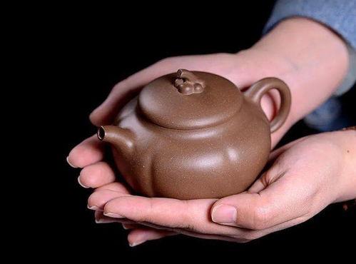 绝代风华茶壶吃瓜无畏,无畏吃瓜，品味人生百态