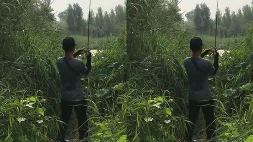 小鱼快乐吃瓜,快乐滋味尽在其中