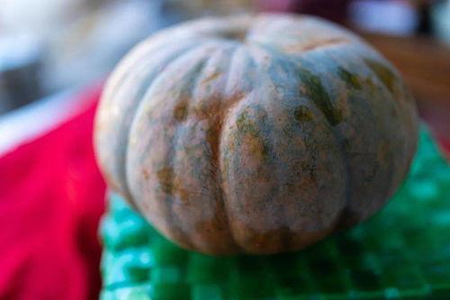 瓣瓣瓜怎么吃,解锁美味新境界