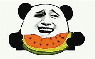 瓜闻天下吃瓜不迷路,吃瓜不迷路，揭秘娱乐圈风云变幻