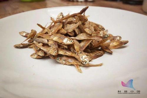 佛手瓜能和鱼干一起吃吗,佛手瓜与鱼干相容性探讨