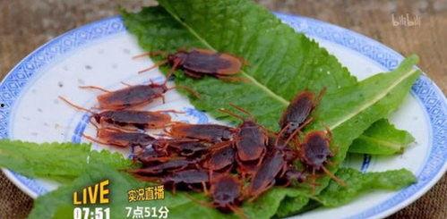 吃蟑螂瓜条,挑战味蕾的另类美食探索