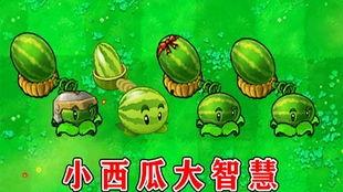 吃瓜的瓜哥植物大战僵尸
