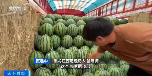 跟对象吃瓜要钱