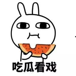 告白之吃瓜,揭秘校园爱情的甜蜜与苦涩