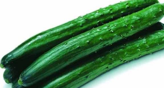 吃瓜有黄瓜和什么瓜