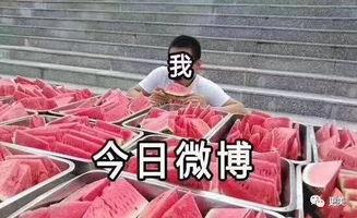 前线吃瓜人,揭秘战地风云中的幕后故事